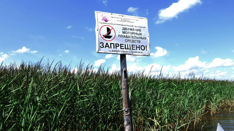 Ну вот уже Вопша рядом.
Движение моторных лодок запрещено. На надувнухе сюда грести замаешься. В общем,
я здесь похоже теперь единственный из людей. Ну вот уже Вопша рядом.
Движение моторных лодок запрещено. На надувнухе сюда грести замаешься. В общем,
я здесь похоже теперь единственный из людей.
