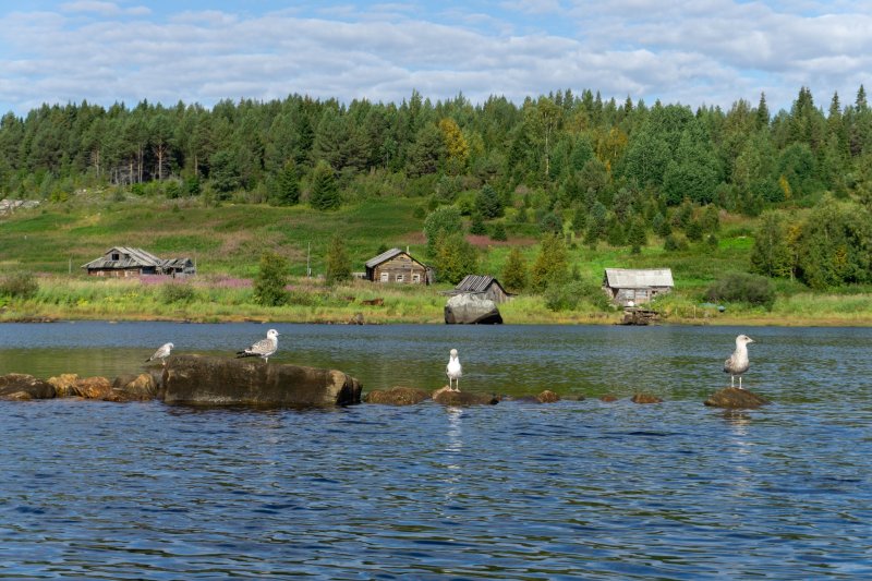 День первый. Из-за того что я недооценил дорогу до д. Кереть, на старте оказался за полдень. Такие броды моя машина еще не преодолевала. Местами было жалко уничтожить свой транспорт и завершить путешествие, поэтому ехал очень аккуратно. Кереть оказалось почти нежилой деревней, многие дома разрушены, кое-где вместо окон полиэтилен, на крыше ПВХ от баннеров. Люди здесь живут только летом, электричества нет. Кругом густая трава и остовы больших старинных домов. Машину пришлось бросить далеко от берега и все вещи и каяк таскать. Отчалил уже вечером и основная задача была уйти в более дикие места до ночи. 