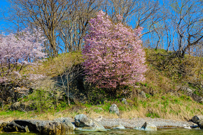 Весна и красоты дальневосточного леса 