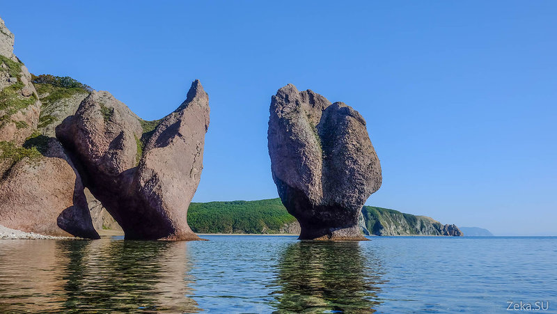 Кто как только не называет эту красоту. Как по мне это два дерева. Высота метров 20 =))  