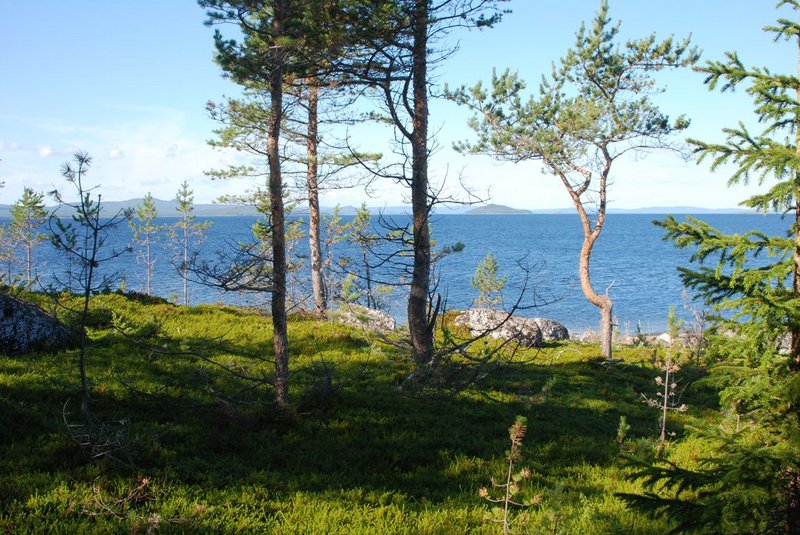 Белое море. Н.п. Кузема - губа Канда. 18 августа – 1 сентября 2012. Часть 5. Белое море. Н.п. Кузема - губа Канда. 18 августа – 1 сентября 2012. Часть 5.