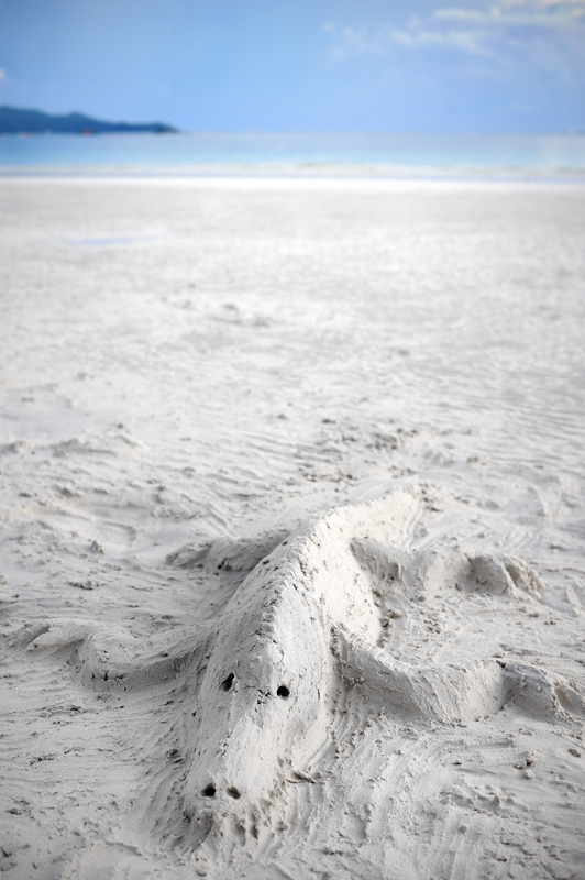Песочный крокодил.