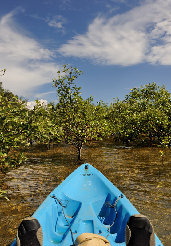 Без лишнего размаха и роскоши, как на соседнем южном побережье, но побултыхаться на каяке среди редколесья мангровых кустов тоже достаточно интересно. 