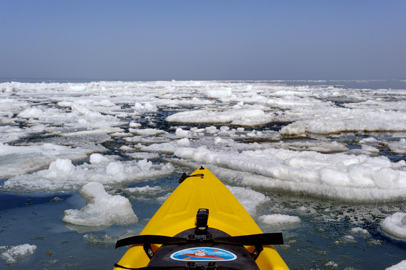 Лед расположился в заливе узкими кольцами, практически без проходов. Ледокол из каяка получается фиговый, приходится долго искать извилистый путь во льдах.