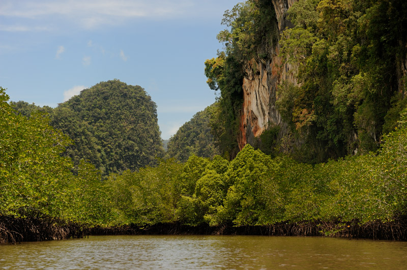 Карстовый лабиринт в сочетании с лабиринтом мангровых болот — достойное место для прогулок. 
