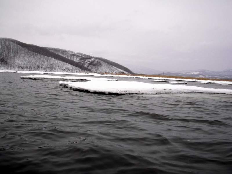 Последние льдины, застрявшие на мели у берега...