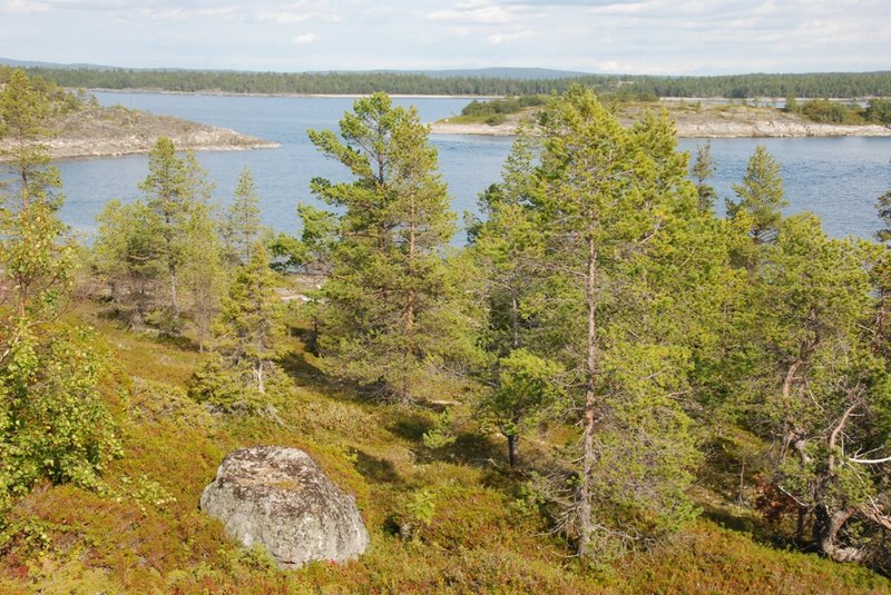 На мысу много пресных луж.