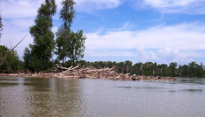 Дров на реке море, нашли подходящий бережок, встали, разожгли костерок, палатку поставили, перекусили и на бочок. Течение большое, снасти все все перепутает насмерть, не до рыбалки нам сегодня. 