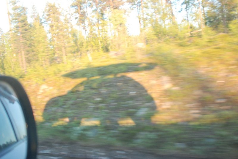 Норвежское море, вокруг Лофотенских островов. 22 июня – 5 июля 2012. Часть 5. Норвежское море, вокруг Лофотенских островов. 22 июня – 5 июля 2012. Часть 5.