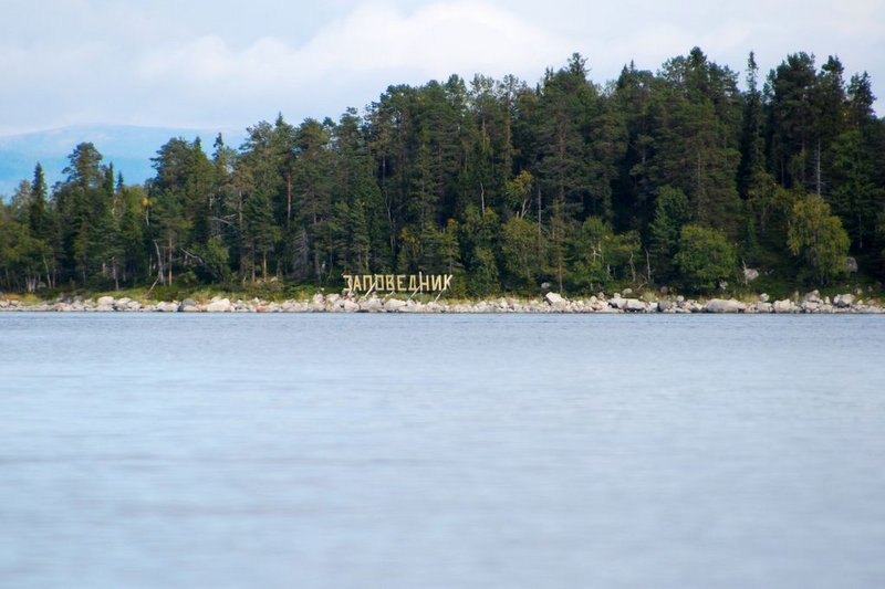 Сам
коренной берег (по левую руку) в этом месте на морской берег совсем не похож.
Как будто озеро или речушка. Привычных брёвен на берегу тоже уже нет. Скрюченных
сосен и берёз нет. Самый обычный лес.