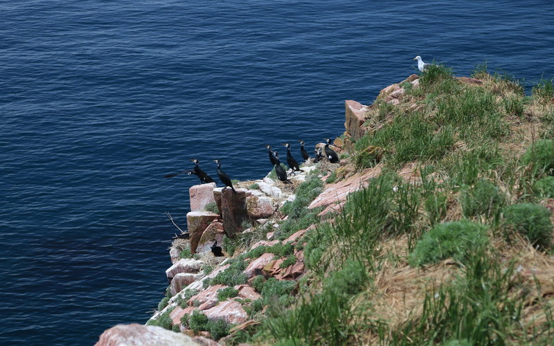 На морских каяках на острова Верховского (2013-2014)