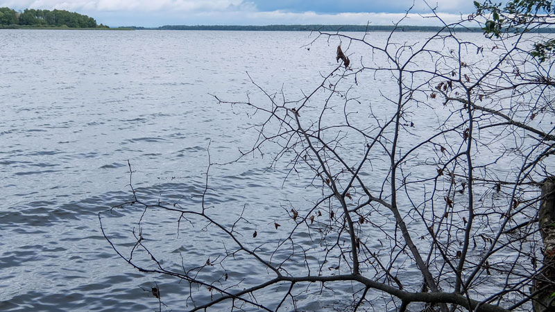 Ужиная, наблюдаю
растительные фракталы на фоне водных фракталов. Платон когда-то сказал, что Бог
был геометром, но, похоже, он ещё был и топологом, не гнушавшимся сотворением
объектов с дробной размерностью Хаусдорфа (не кидайтесь коралловыми тапками -
математики тоже люди, и они иногда шутить пытаются…).