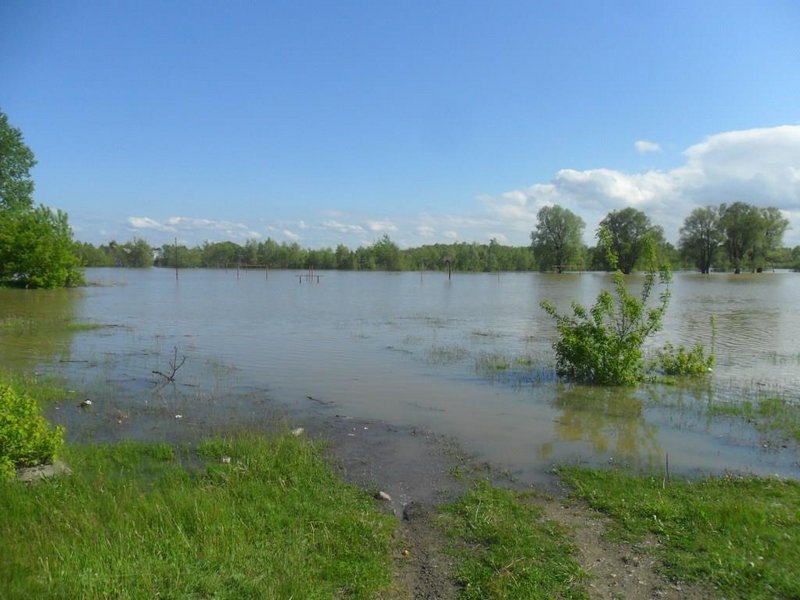 Вот здесь пацаны играли в футбол, а сейчас в водное поло можно.

Лето пришло, сразу за тридцать жарит, пора в поход, а вот вода не спадает и комары тут как тут.

Но откладывать нельзя так и жизнь пройдет. Вниз по Оби пойдем 70 километров, а там вверх по Чумышу 18 км., до первого поселка,
где есть подъезд к реке.