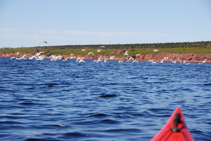 Решаем набрать пресной воды. Морская вода напротив устья окрашена в красный цвет.