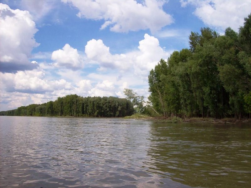 Уровень воды в реке чумыш. Чумыш Алтайский край. Река Чумыш Кемеровская область. Река Чумыш.