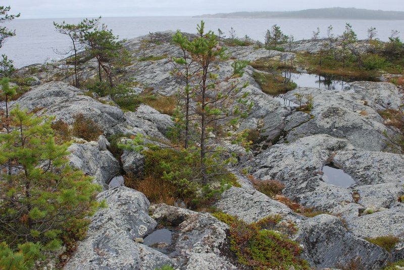 Белое море. Н.п. Кузема - губа Канда. 18 августа – 1 сентября 2012. Часть 3.