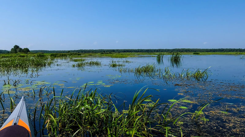 Костромское море в костроме