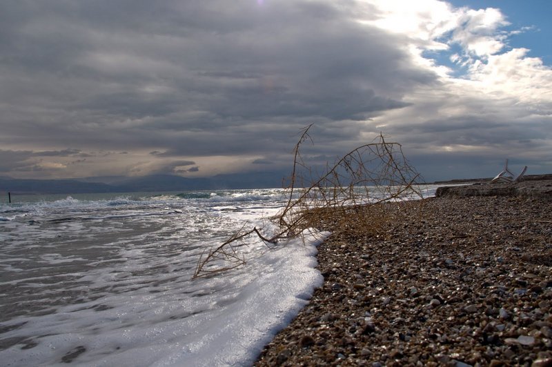 Суровое Мертвое море. (c) Adam.