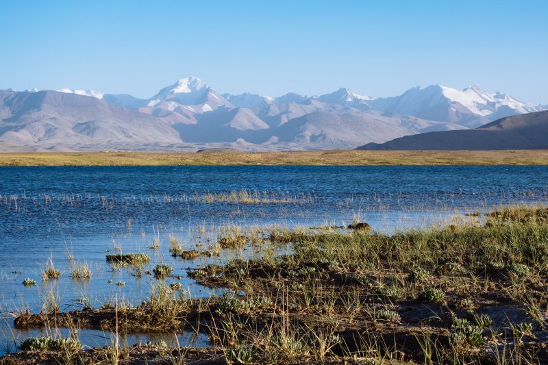 Вытянув байдарку, переоделся в сухое,
а влажную одежду закрепил под резинки на деке байдарки. Там она достаточно
быстро высыхает от ветра и солнца, благо воздух на высоте сухой.
Сложил в маленький рюкзак пустые бутылки и пошагал по соляному болоту, стараясь
выбирать места потверже.
База представляет собой комплекс из
нескольких строений, одно двухэтажное, остальные одноэтажные. У дверей стояли
два парня, разглядывали меня в бинокль. Познакомились, парни сразу предложили
пройти вовнутрь и отобедать с ними. Памирцы люди очень гостеприимные! Они только
что сварили борщ и как раз собирались сесть за стол, на запоздалый обед. Пока
ели, парни все рассказали про объект. Здесь
строится база высокого уровня, ориентированная на клиентов иностранцев. Будет
организована охота по путевкам на барана Марко Поло, винторогих козлов, а также
будут организованы туристические маршруты. Ребята предложили мне остаться
ночевать у них, тем более что есть горячий душ и wi-fi. Вечером подъехал молодой
киргиз-кочевник, с ним детально обсудили предстоящий маршрут, выяснил какие
ручьи и реки сейчас с водой.
День
4 (17.08.2025)
36 км.
Проснулся в 6:00. Ребята накормили
меня завтраком, после чего набрав воды в бутылки попрощался, поблагодарив за
гостеприимство, и вернулся к байдарке. Сборы были недолги, стартовал уже в 7:45.
Хотелось побольше пройти в первой половине дня, пока обеденный ветер не разгулялся.
На базе по wi-fi смог
глянуть прогноз на поселок Каракуль, сегодня с обеда обещали западный ветер,
порывами до 20-22 м/с.
Из залива вышел на легком попутном
ветре, завернув влево за мыс. Вместе со мной завернул и ветер.
В 10:18 вылез поддуть
борта байдарки в одном из заливов на западном берегу. Вытянув байдарку, переоделся в сухое,
а влажную одежду закрепил под резинки на деке байдарки. Там она достаточно
быстро высыхает от ветра и солнца, благо воздух на высоте сухой.
Сложил в маленький рюкзак пустые бутылки и пошагал по соляному болоту, стараясь
выбирать места потверже.
База представляет собой комплекс из
нескольких строений, одно двухэтажное, остальные одноэтажные. У дверей стояли
два парня, разглядывали меня в бинокль. Познакомились, парни сразу предложили
пройти вовнутрь и отобедать с ними. Памирцы люди очень гостеприимные! Они только
что сварили борщ и как раз собирались сесть за стол, на запоздалый обед. Пока
ели, парни все рассказали про объект. Здесь
строится база высокого уровня, ориентированная на клиентов иностранцев. Будет
организована охота по путевкам на барана Марко Поло, винторогих козлов, а также
будут организованы туристические маршруты. Ребята предложили мне остаться
ночевать у них, тем более что есть горячий душ и wi-fi. Вечером подъехал молодой
киргиз-кочевник, с ним детально обсудили предстоящий маршрут, выяснил какие
ручьи и реки сейчас с водой.
День
4 (17.08.2025)
36 км.
Проснулся в 6:00. Ребята накормили
меня завтраком, после чего набрав воды в бутылки попрощался, поблагодарив за
гостеприимство, и вернулся к байдарке. Сборы были недолги, стартовал уже в 7:45.
Хотелось побольше пройти в первой половине дня, пока обеденный ветер не разгулялся.
На базе по wi-fi смог
глянуть прогноз на поселок Каракуль, сегодня с обеда обещали западный ветер,
порывами до 20-22 м/с.
Из залива вышел на легком попутном
ветре, завернув влево за мыс. Вместе со мной завернул и ветер.
В 10:18 вылез поддуть
борта байдарки в одном из заливов на западном берегу.