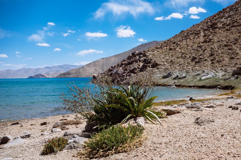 Памир 2025. На морском каяке «Вектор» по озеру Каракуль Памир 2025. На морском каяке «Вектор» по озеру Каракуль