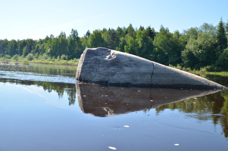 В восьми километрах ниже Тотьмы у правого берега расположен камень Лось. Высокая вода отчасти скрывает его истинные размеры - 8х4м. Впечатляюсь, и с нарастающим течением бодро гребу дальше.