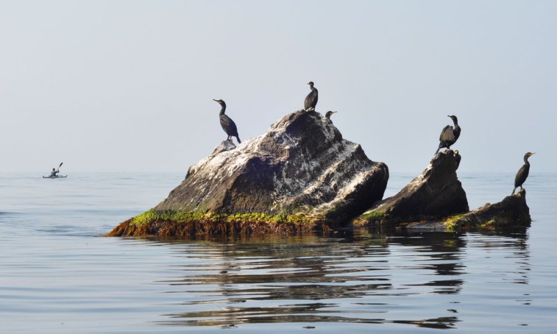 На пути к Алуште. Штиль
на море.