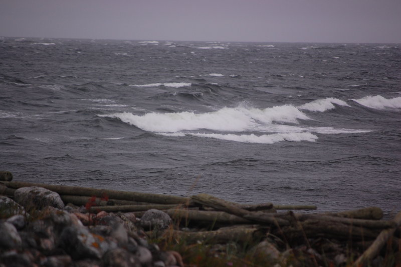 К вечеру дождь прекратился,  вылез  осмотреться: сильный северо-восточный ветер . Все море на восток в белых барашках, волны крутые, ломающиеся. Сегодня на каяке выходить куда-либо бессмысленно. 