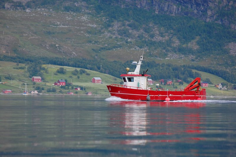 Вообще к рыбалке отношусь с прохладцей, но многочисленные рассказы о
ловле в Норвегии разбудили во мне любопытство. Первые пару забросов&nbsp; результата не дали