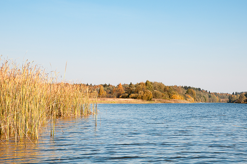 Зауломское озеро порадовало своими островами и осенними красками. 
 

