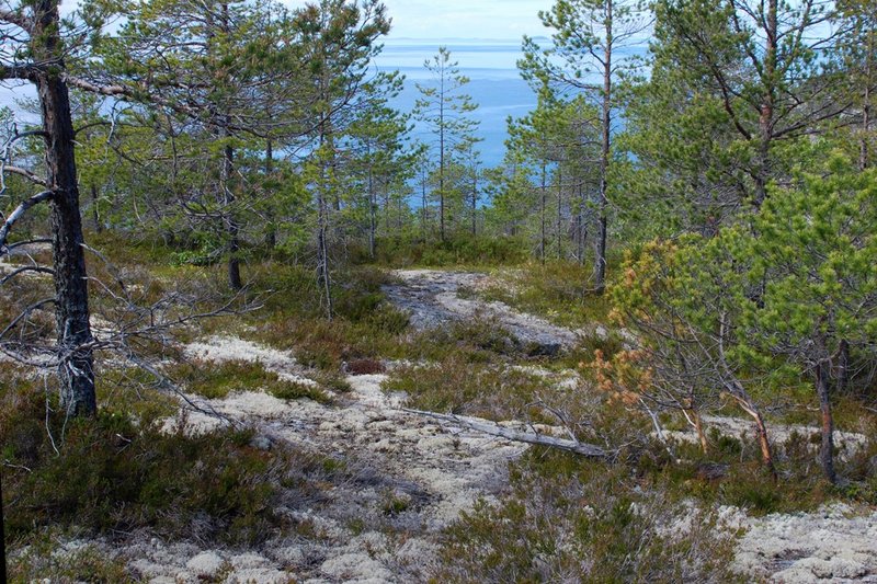 Белое море на морских каяках, Онежский залив по маршруту Онега – Беломорск, 264 км, 21 июня - 6 июля 2014