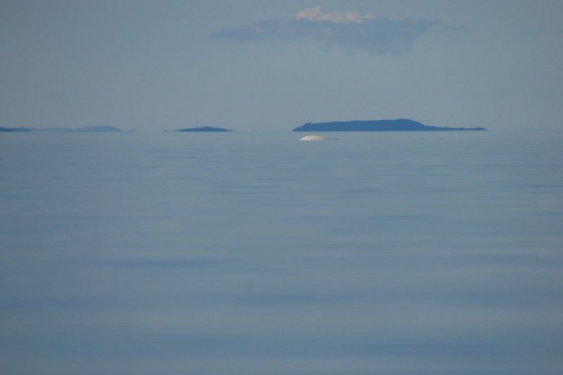 Море
выглядит просто нереально. Буквально не верю своим глазам. Интересно, что бы
Костик сказал?