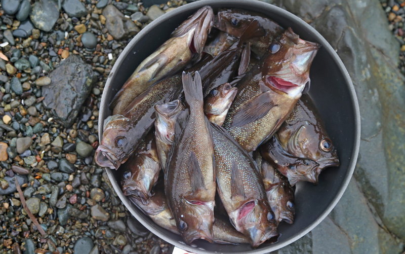 Веселый рыболовный поход на морских каяках на о. Попова