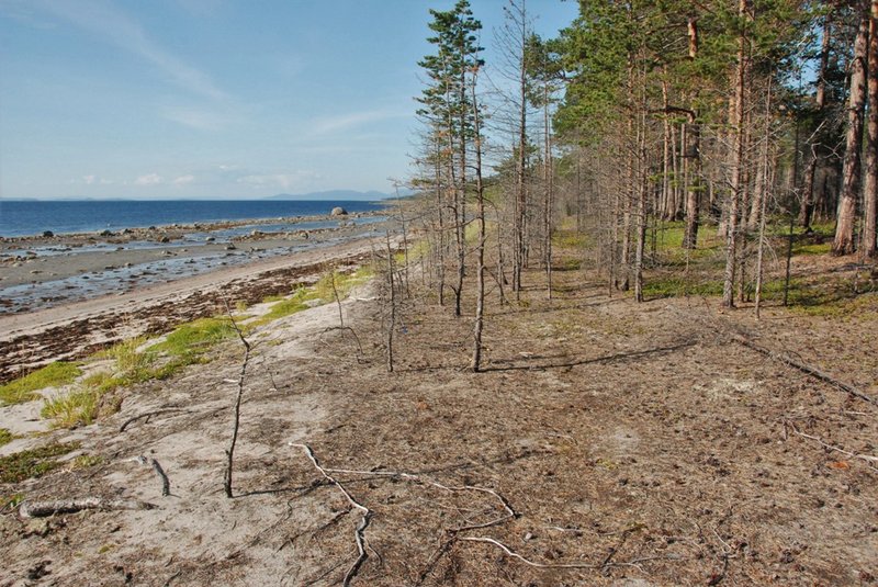 Белое море. Кузомень – Кандалакша на морских каяках. 16 августа – 29 августа 2015. 343 км. (часть 2)