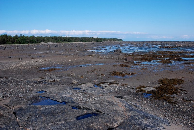 Белое море на морских каяках, Онежский залив по маршруту Онега – Беломорск, 264 км, 21 июня - 6 июля 2014