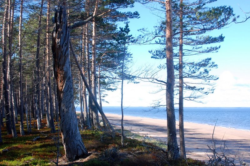 9:30. Тем временем идёт прилив. На&nbsp;песчаной пляж начинает затекать вода, отсекая часть пляжа от основного берега,&nbsp;образуя небольшую песчаную косу.&nbsp;Видео на YouTube10:49. Вскоре песчаная коса тоже
скрывается под водой. Вдалеке виден остров Коткано. Сейчас он с расстояния 10
км выглядит как две отдельные полукруглые скалы.