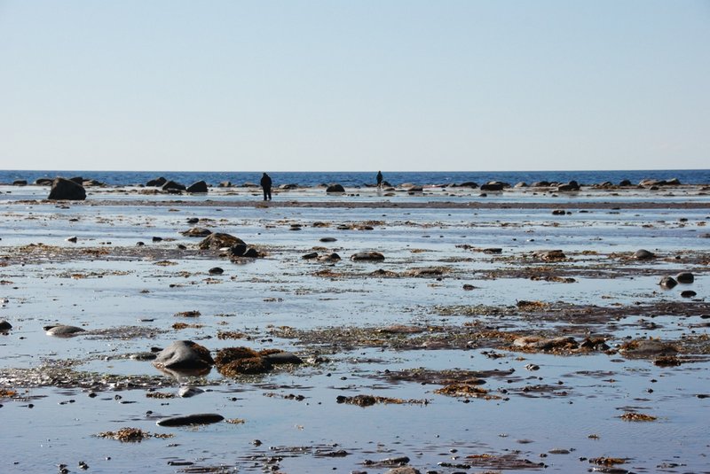 Белое море. Кузомень – Кандалакша на морских каяках. 16 августа – 29 августа 2015. 343 км. (часть 1)