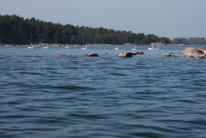 Балтийское море на каяках (Ботнический залив) в районе Турку. 9 - 11 мая 2013