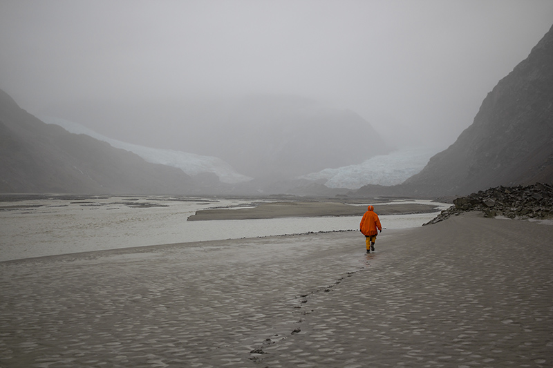 В
состоянии ежик в тумане дошли до ледника в конце фьорда - Muir Glacier. Та же
картина. Почему то, когда проходишь мимо ручьев, стекающих в залив, иногда
пахнет арбузами. А при усилении дождя в тех же местах начинает пахнуть
фекалиями. Ну, фекалии понятно, ручьи начинают смывать ил и глину, в них есть
сероводород. Но арбузов там точно нет. Кроме фекального запаха можно еще нехило
получить по кумполу. Ручьи вымывают крупные голыши со склонов, размером с
голову, и все это залпом слетает вниз. Одну минуту это милый водопадик, падающий
в залив с высоты пятиэтажного дома, и следующие 10 секунд это уже камнепадик. 

