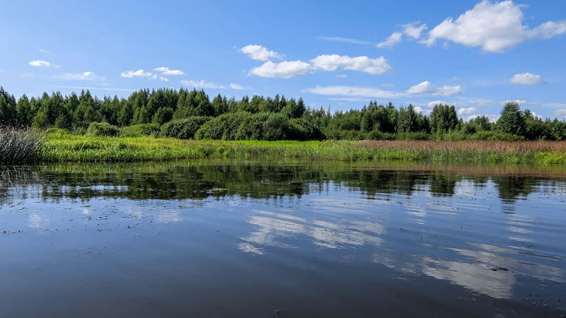 Денек сегодня выдался на
славу.