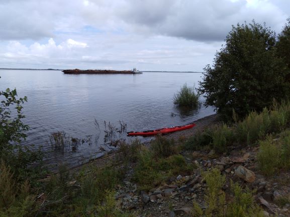 Одиночный сплав на морском каяке по реке Амур. Хабаровск  - Амурск. Август 2018.