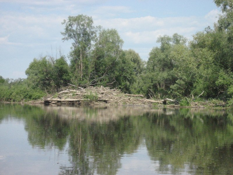 Нанос. Нередко (для таких вот малых сибирских рек, особенно таежных) такие вот наносы перегораживают все русло реки. 
 
