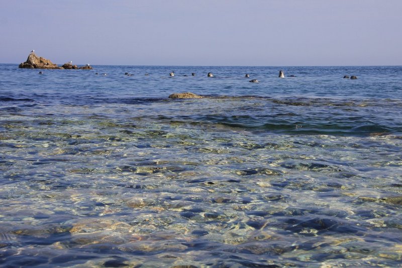 Поход на морских каяках Славянка-Андреевка (Южное Приморье). Сентябрь 2008