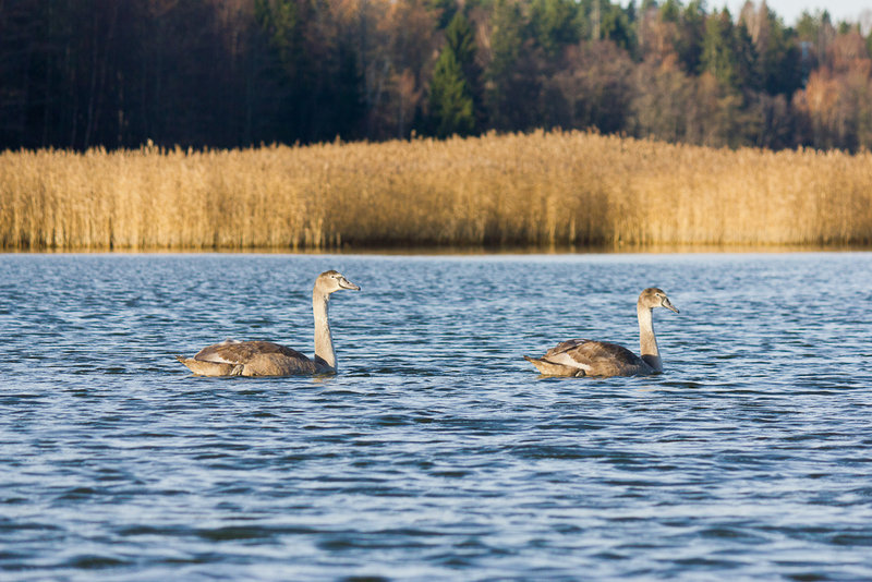 Морской каяк, Хельсинки и окрестности