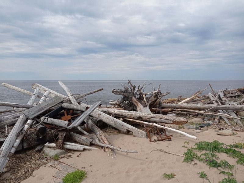 Дельта Северной Двины / Белое море на морском каяке